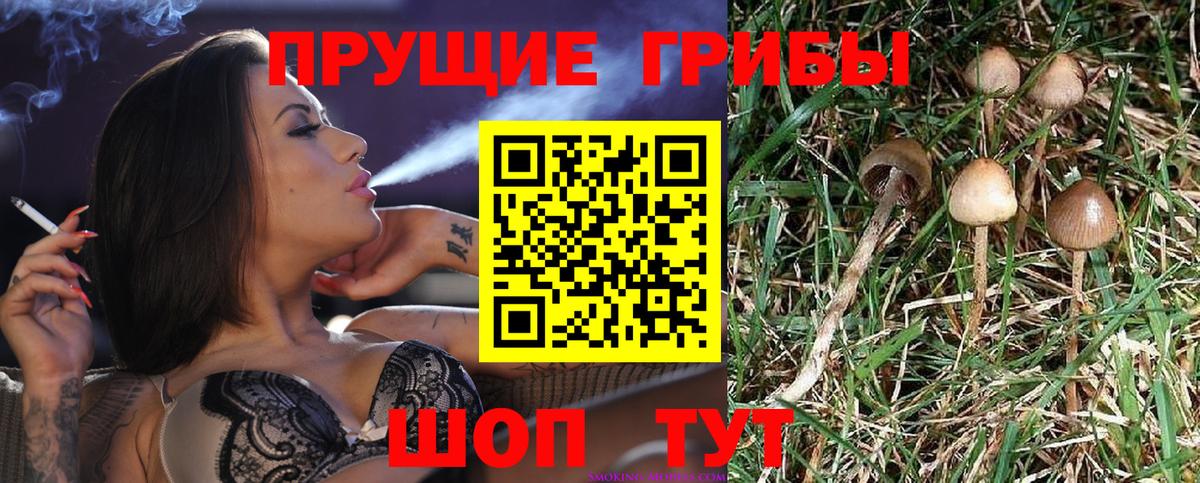 Галлюциногенные грибы мицелий Рузаевка