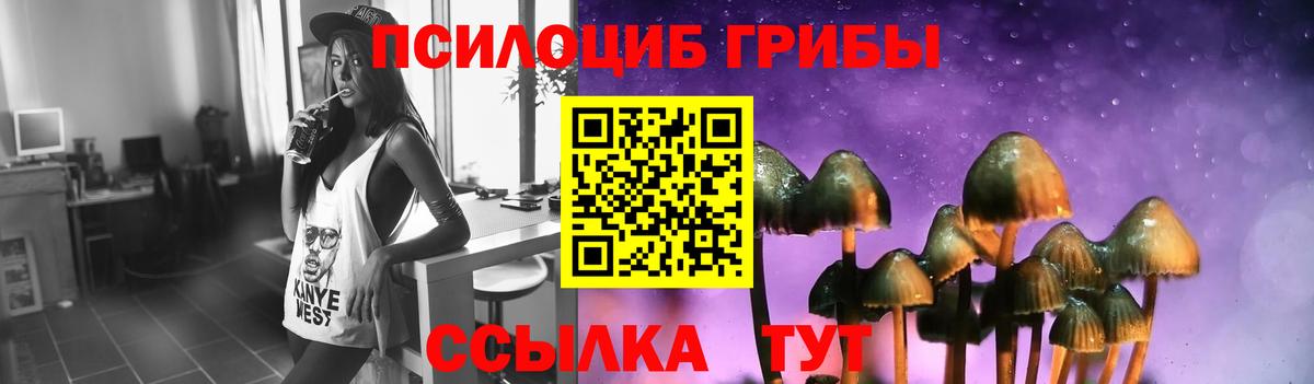 Рузаевка  Псилоцибиновые грибы Magic Shrooms  Вход с VPN 